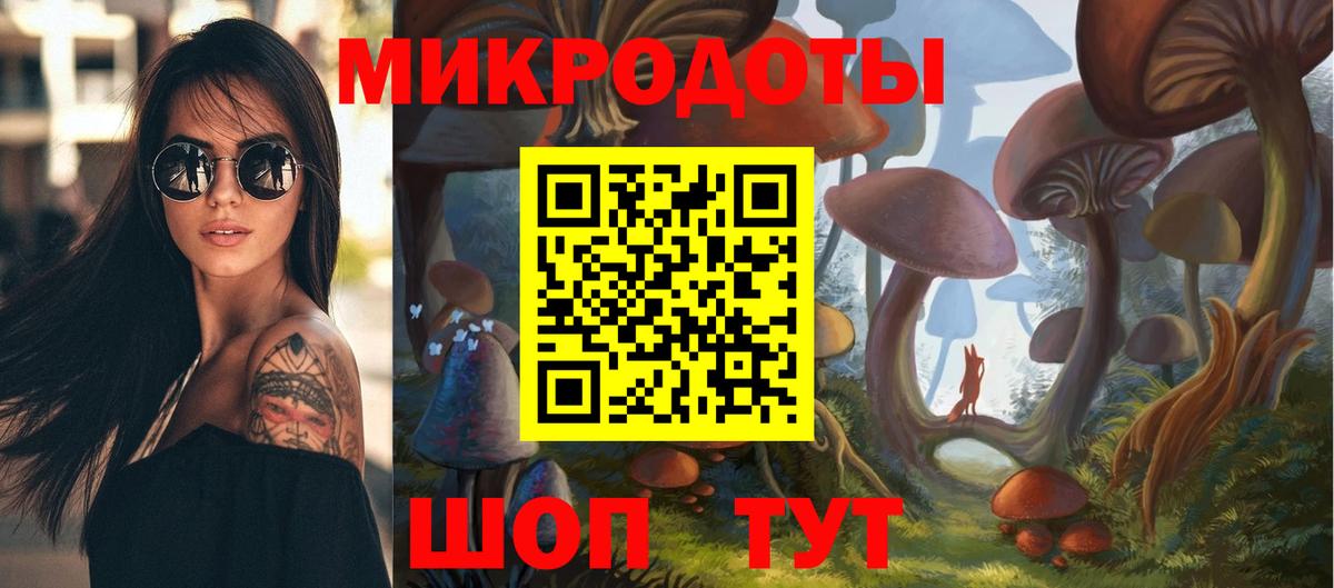 Псилоцибиновые грибы прущие грибы Камышлов