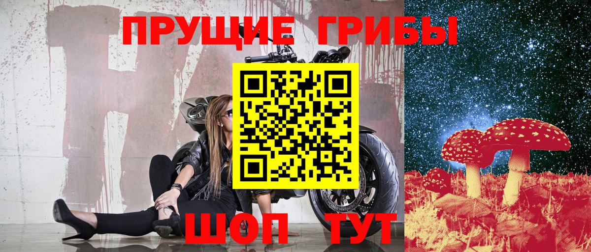 Камышлов  Псилоцибиновые грибы мицелий  Вход с VPN 